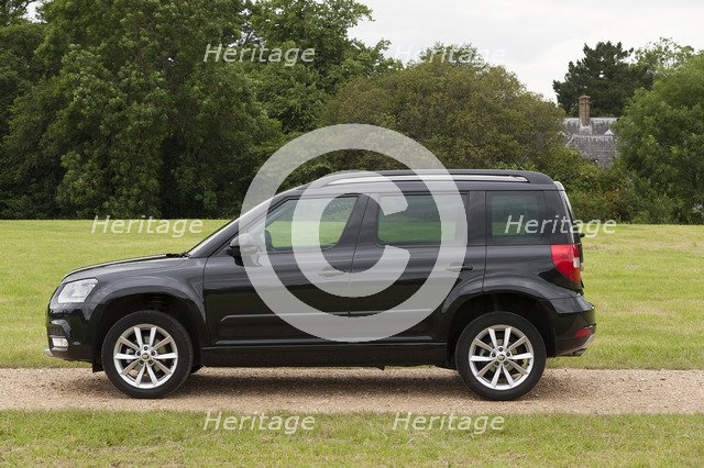 2014 Skoda Yeti SE Artist: Unknown.