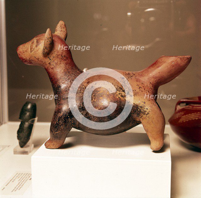 Pottery vessel of Ancient breed of Mexican dog, Colima Culture, Mexico, 300-900. Artist: Unknown.