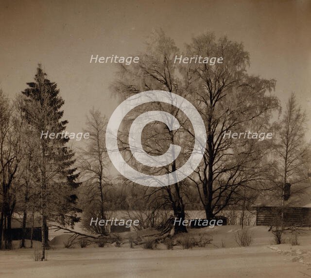 Village of Turovo, Luzhskii district, Saint Petersburg province, between 1905 and 1915. Creator: Sergey Mikhaylovich Prokudin-Gorsky.