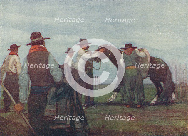 'Gauchos Breaking in a Young Horse', 1916. Artist: A S Forrest.