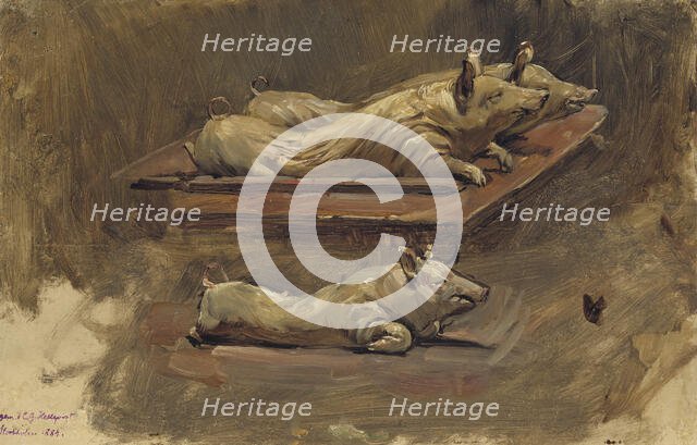 Pigs. Study for During Fasting Time, 1884. Creator: Carl Gustaf Hellqvist.