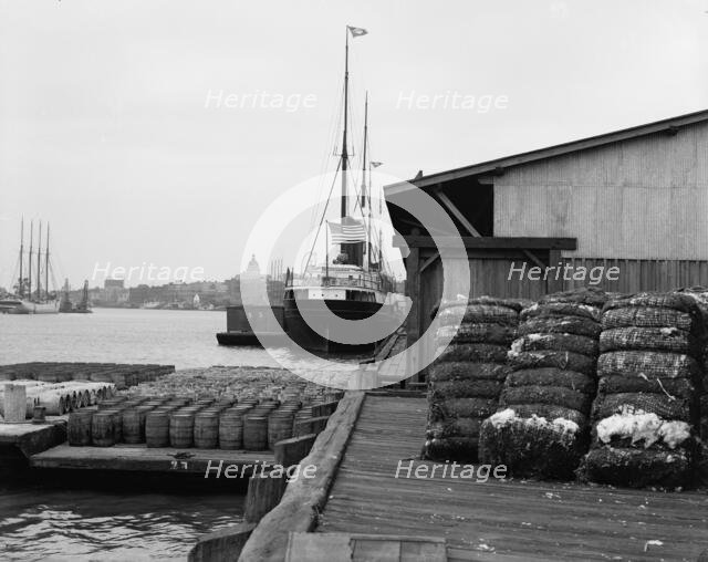Cotton docks, Savannah, Ga., c1907. Creator: Unknown.
