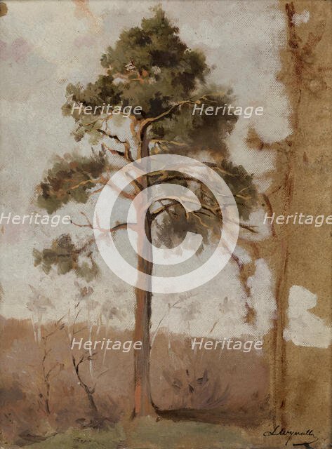 Pines at Polaga, between 1906-1910. Creator: Leon Wyczolkowski.