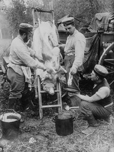 Field butcher on firing line, North Sea Coast, between 1914 and 1918. Creator: Bain News Service.