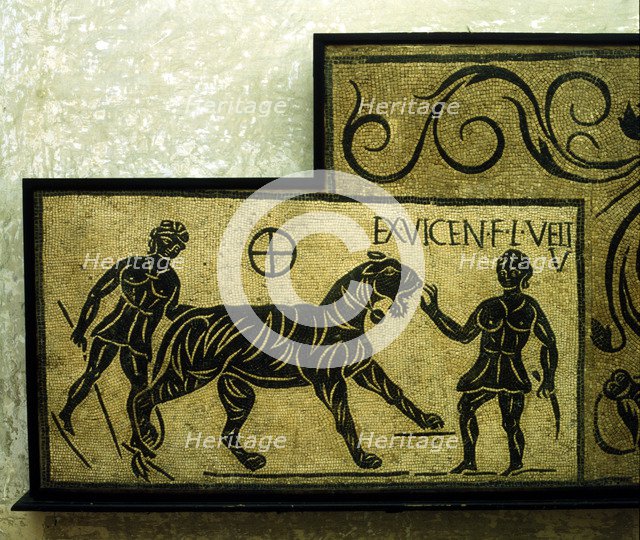 Roman mosaic deoicting a tiger and gladiators, 2nd century. Artist: Unknown