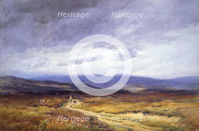 Muir of Dinnet, 1900-1924. Creator: George Russell Gowans.