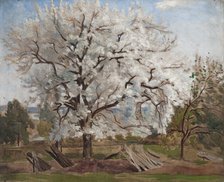 Apple Tree in Blossom, 1877. Creator: Carl Fredrik Hill.