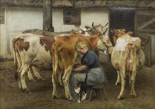 Milking the Cows. West Jutland, 1897-1899. Creator: Niels Pedersen Mols.