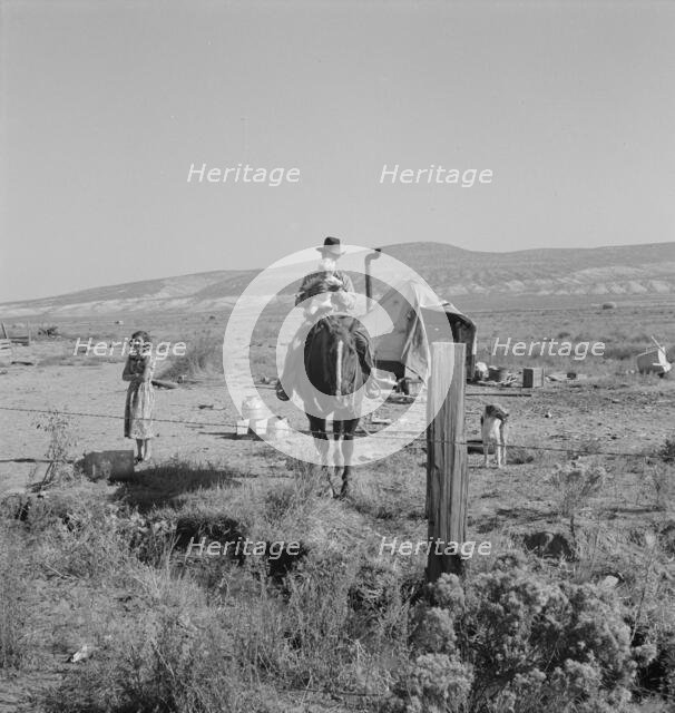 The Fairbanks family has moved to three..., Willow Creek area, Malheur County, Oregon, 1939. Creator: Dorothea Lange.