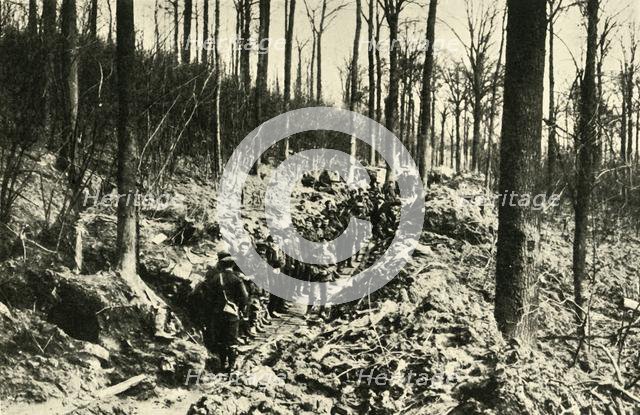 'Canadian Infantry in a Wood at the Front', First World War, 1915-1916, (c1920). Creator: Unknown.
