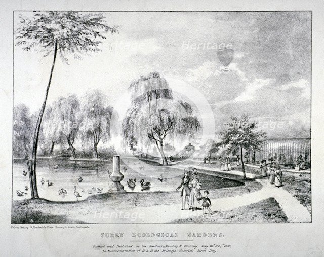 Surrey Zoological Gardens, Southwark, London, 1836. Artist: F Alvey