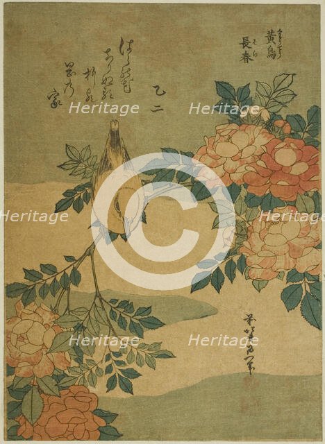 Bush Warbler and Rose (Kocho, bara), from an untitled series of flowers and birds, Japan, c. 1834. Creator: Hokusai.