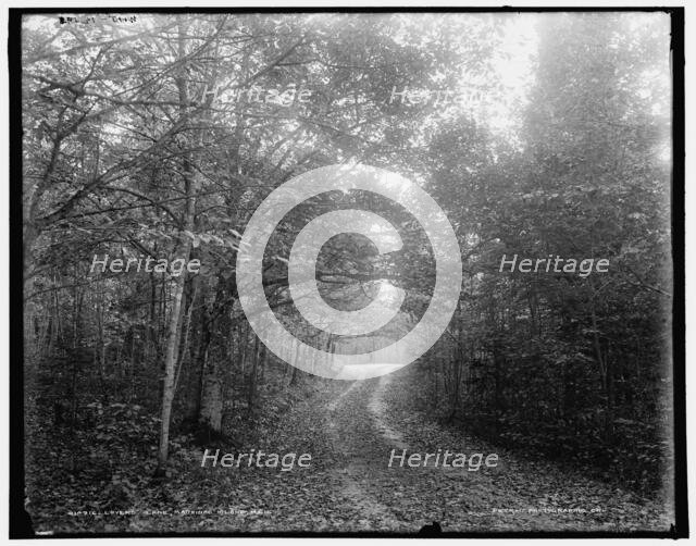 Lovers' Lane, Mackinac Island, Mich., (1902?). Creator: William H. Jackson.
