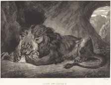 Lion of the Atlas Mountains (Lion de l'Atlas), 1829. Creator: Eugene Delacroix.