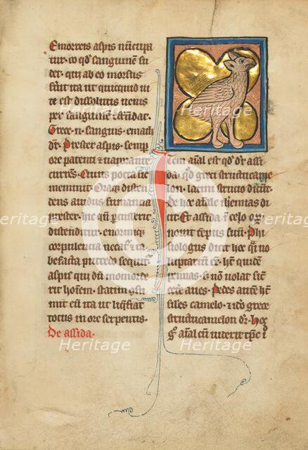An Ostrich; De Natura Avium; De Pastoribus et Ovibus; Bestiarium, 1277 or after. Creator: Unknown.