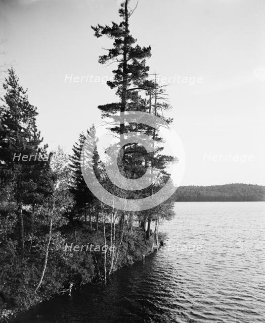 Lower St. Regis Lake, Adirondack Mts., N.Y., between 1900 and 1905. Creator: Unknown.