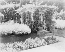Small arbor covered with roses, with daisies and pansies on... Pasadena, California, c1903 - 1923. Creator: Frances Benjamin Johnston.