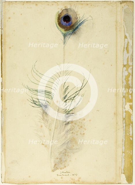 Peacock Feather, 1877. Creator: John Ruskin.