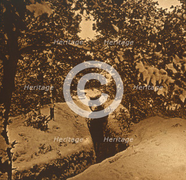 Trenches under fir trees, c1914-c1918. Artist: Unknown.