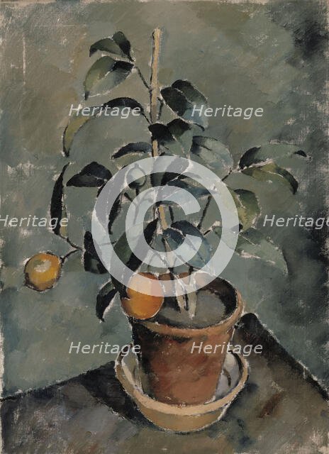 Orange Plant. Creator: Karl Isakson.