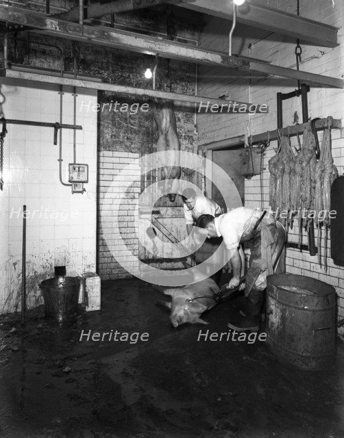 Butchery factory, Rawmarsh, South Yorkshire, 1955.  Artist: Michael Walters