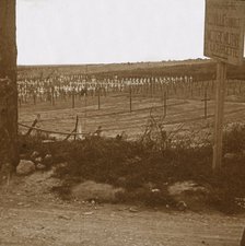 Military cemetery, Neuville-Saint-Vaast, northern France, c1914-c1918. Artist: Unknown.