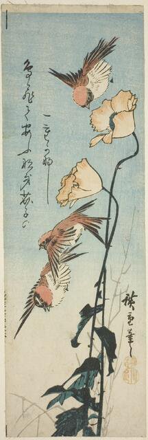 Sparrows and poppies, 1850s. Creator: Ando Hiroshige.