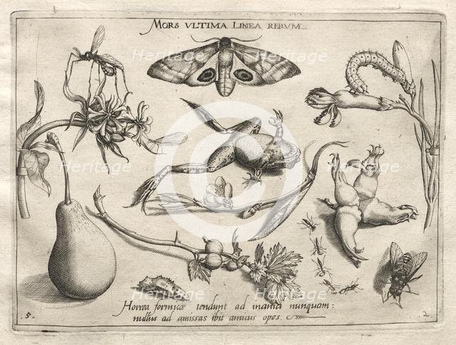 Archetypes and Studies: Death is the line that marks the end of all (Part II, plate 5), 1592. Creator: Joris Hoefnagel (Flemish, 1542-1601).