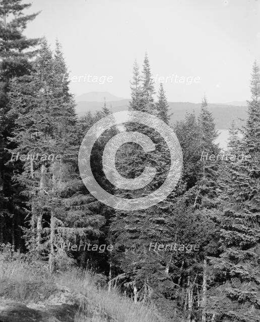 Blue Mountain from the crags, Adirondack Mts., N.Y., between 1900 and 1910. Creator: Unknown.