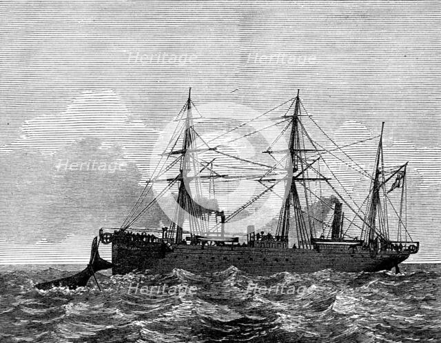 Wiring a whale by the Persian Gulf Submarine Telegraph Cable, 1873. Creator: Unknown.