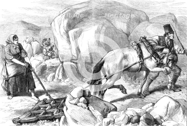 Sketches in Ireland: harrowing under difficulties, mountain farm in County Mayo, 1880. Creator: Unknown.