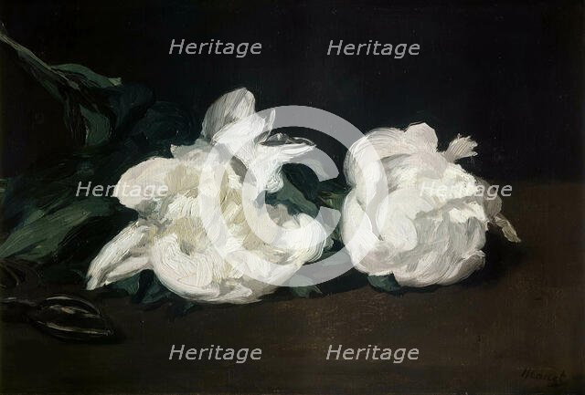 Branche de pivoines blanches et sécateur, 1864. Creator: Manet, Édouard (1832-1883).