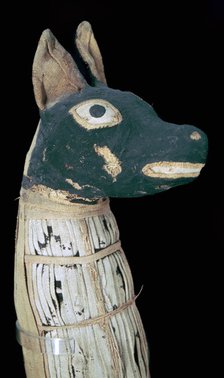 Mummy of a dog possibly representing Anubis. Artist: Unknown
