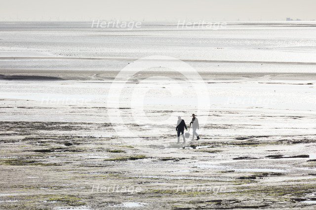 Cockle pickers at low tide, Morecambe Bay, Lower Holker, Cumbria, 2017. Creator: Alun Bull.