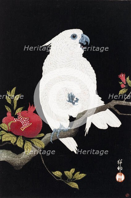 Cockatoo and pomegranate, 1930. Creator: Ohara Koson.