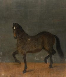 Horse called the Firecutter, c17th century. Creator: David Klocker Ehrenstrahl.