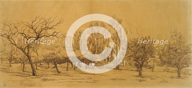 View of an Orchard at Saint-Denis, mid 19th century Artist: Charles Francois Daubigny.