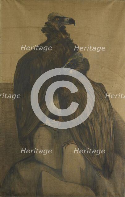 Two Arabian Vultures, 1885-1917. Creator: Theo van Hoytema.