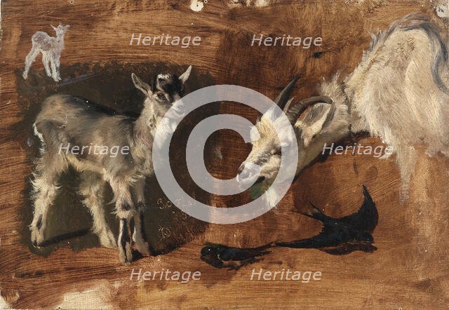 Goats. Creator: Eliphalet Frazer Andrews.