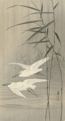 Two egrets in flight, Between 1910 and 1920. Creator: Ohara, Koson (1877-1945).