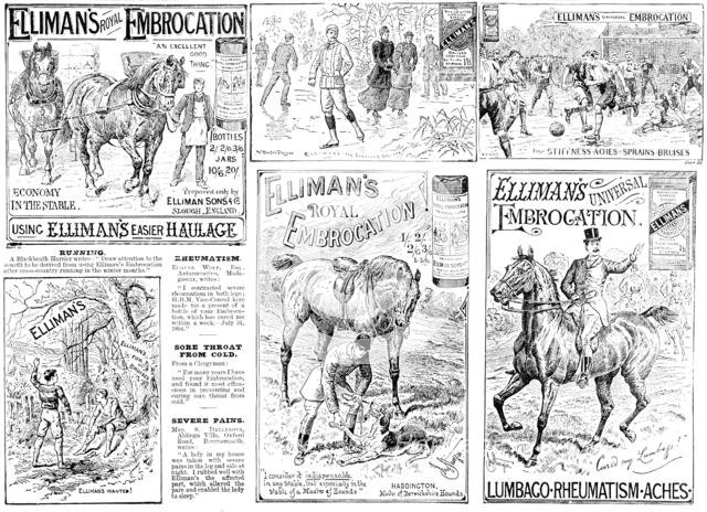 Advertisement for Elliman's Royal and Universal Embrocations, 1895. Creator: Unknown.