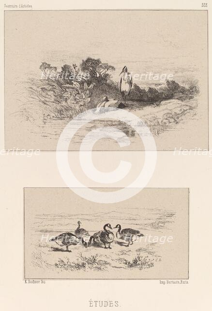 Etudes. Creator: Karl Bodmer.