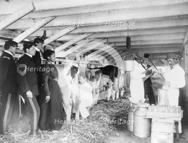 Demonstration of milk testing in stable, at Hampton Institute, Hampton, Virginia, 1899 and 1900. Creator: Frances Benjamin Johnston.