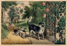 Pussy's Return, 1874-78., 1874-78. Creators: Nathaniel Currier, James Merritt Ives, Currier and Ives.
