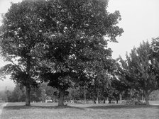 Toward the spring house, Poland Spring Hotel, South Poland, Maine, c1900. Creator: Unknown.