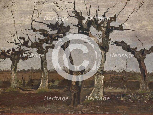 Pollard birches, 1884. Creator: Gogh, Vincent, van (1853-1890).