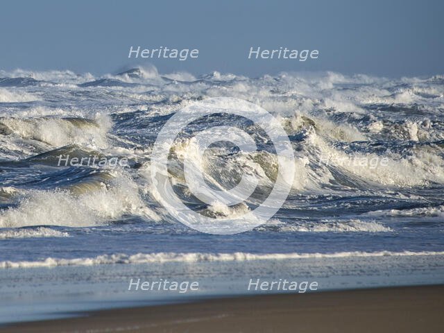 Surfs Up. Creator: Eve Turek.