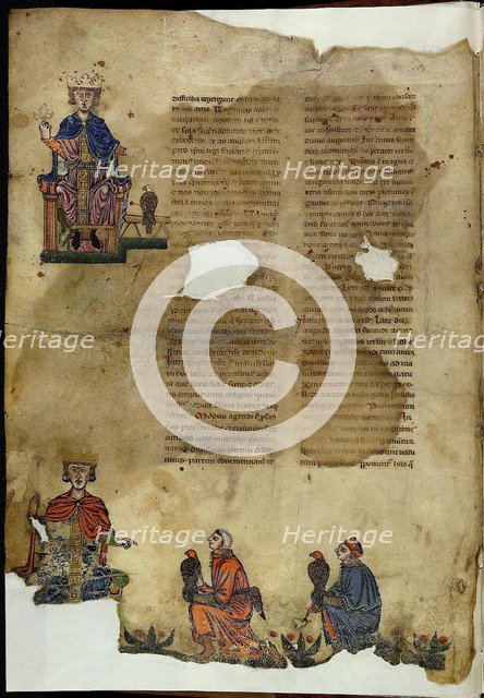 Frederick II. De Arte Venandi cum Avibus (On The Art of Hunting with Birds). Artist: Anonymous  