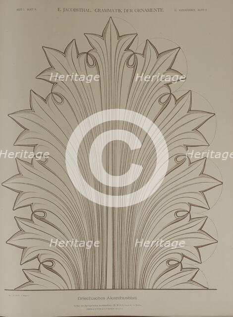 Greek acanthus leaf, 1874.  Creator: Unknown.