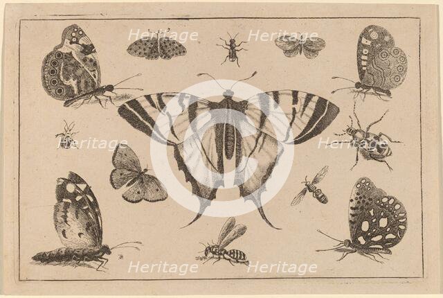 Swallow-tailed Butterfly and Twelve Other Insects. Creator: Wenceslaus Hollar.
